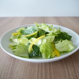 お家で作るごちそうサラダシーザーサラダ用95g｜サラダクラブ | Qummy 