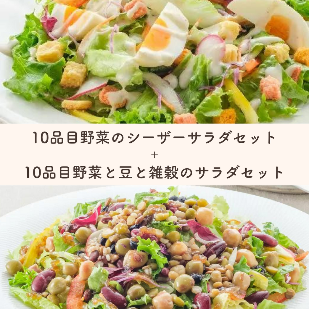 【2回分でお得】10品目の野菜を使ったサラダ(3～4人前)を2回楽しめるセット