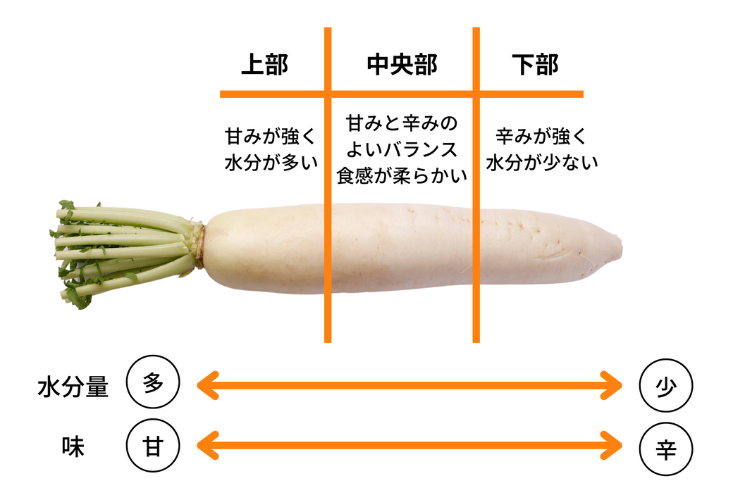 使い分ければもっとおいしい! 冬の賢い「大根」丸ごと食べきり術