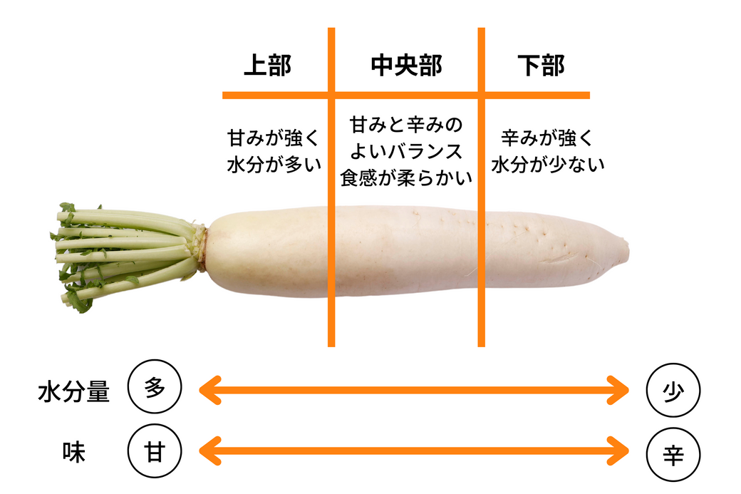 使い分ければもっとおいしい！　冬の賢い「大根」丸ごと食べきり術