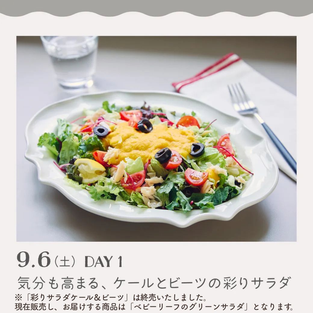 VEGE WEEK “おいしい”で整える、1週間の健やかサラダ