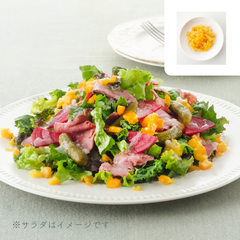 【販売終了】フルーティートッピング オレンジピール 30g