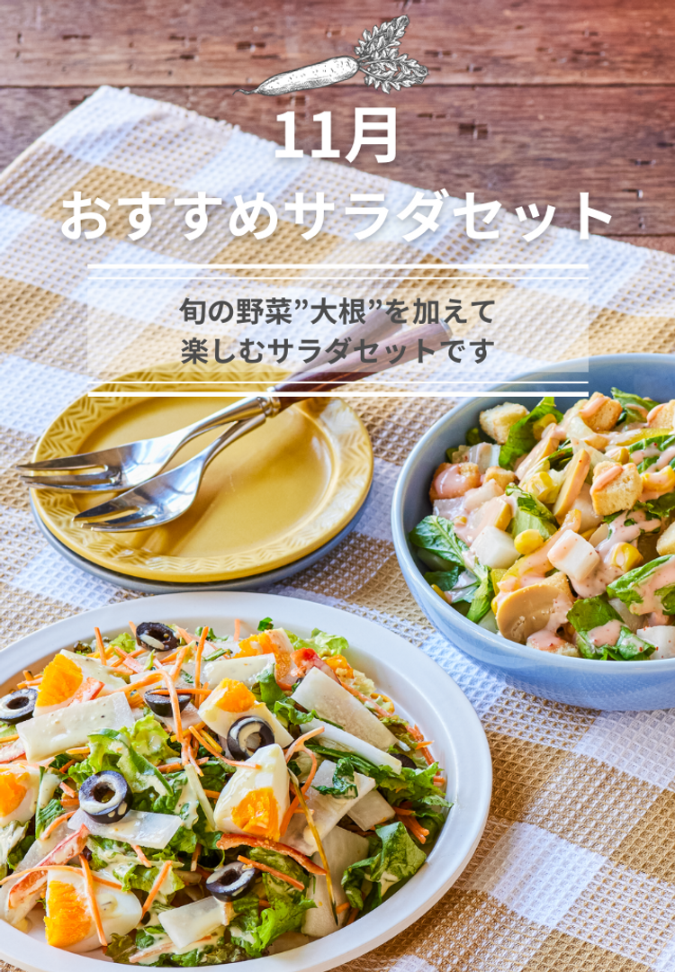 旬を楽しむサラダセット~大根をプラス!~