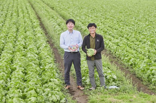 作る人も食べる人もうれしい、サラダクラブの野菜の秘密