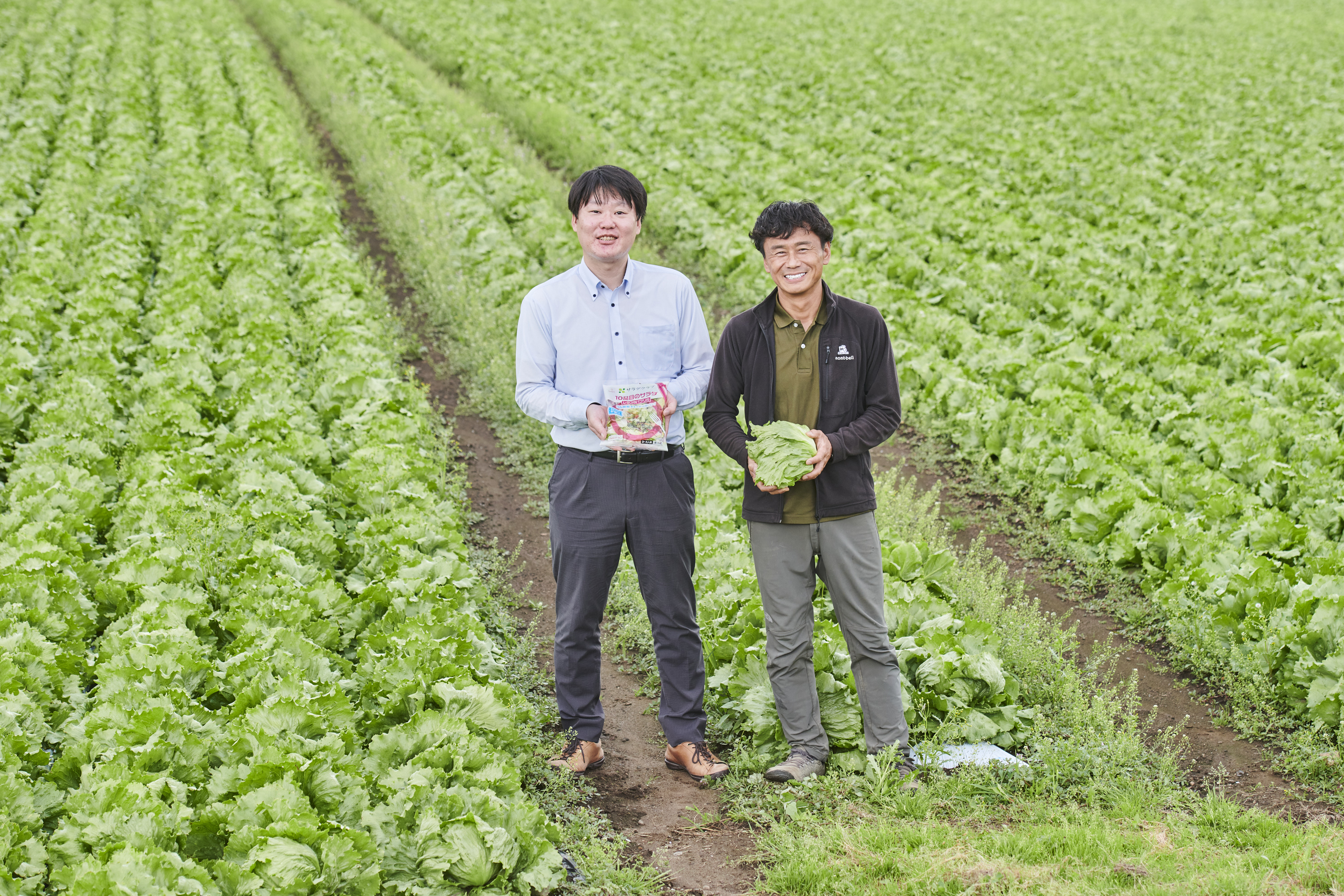 作る人も食べる人もうれしい、サラダクラブの野菜の秘密 | Qummy