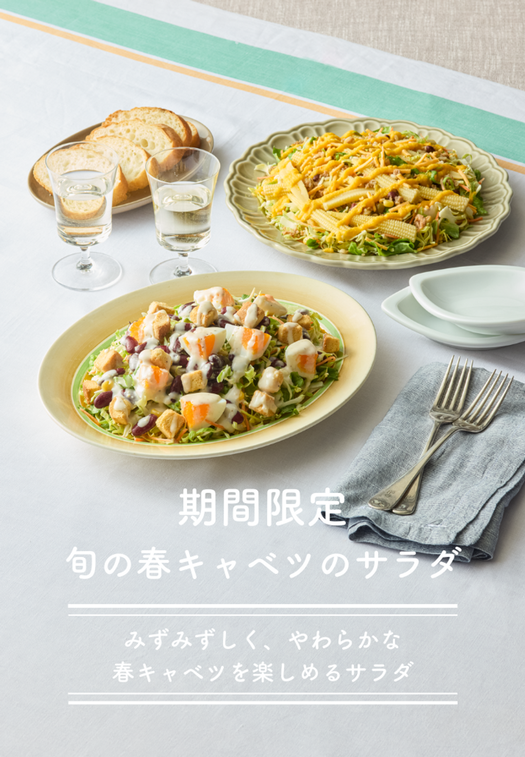 旬の春キャベツのサラダ