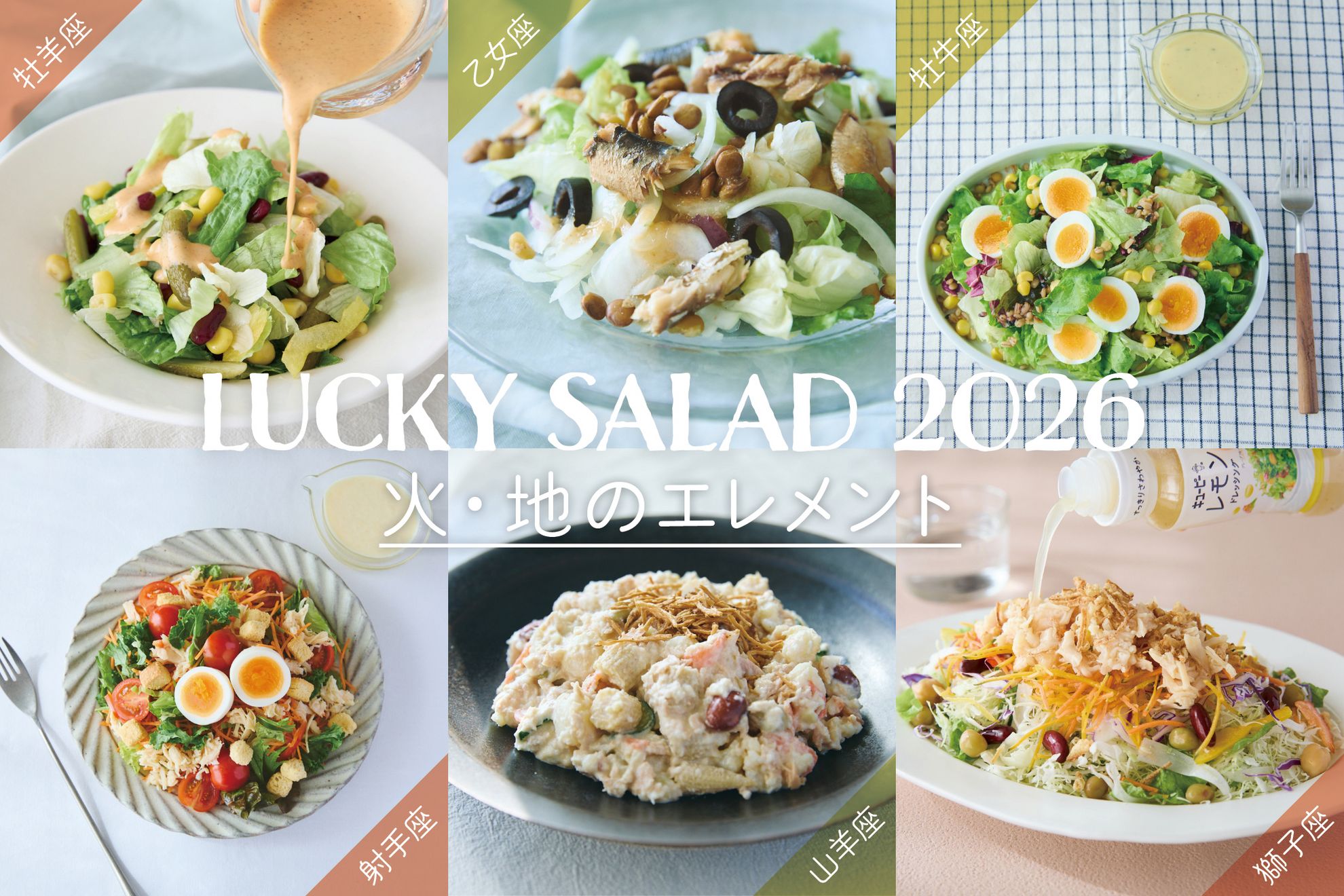 サラダマスター新品1.5QT/11月16日(日)までの出品 サラダマスター新品