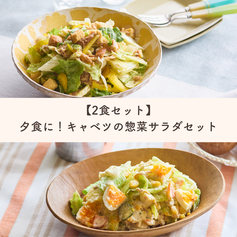 【2食セット】夕食に！キャベツの惣菜サラダセット(2~3人前)Qummy【キャベツ】