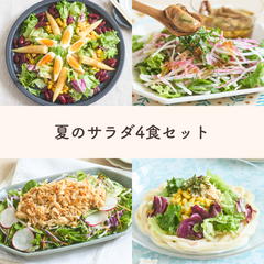 【4食でお得】【調理5分】Qummyおすすめ♪夏のサラダセット≪夏のサラダ≫Qummy