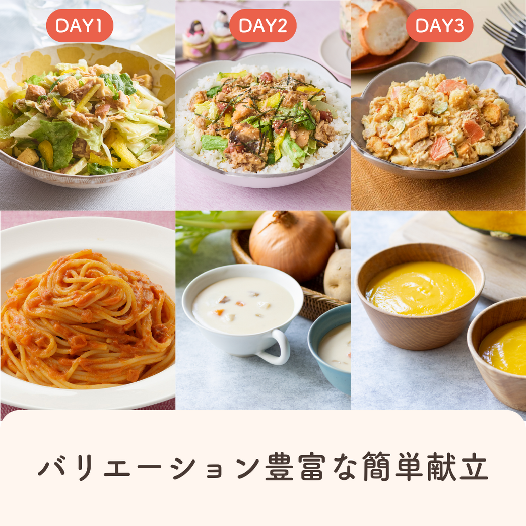 3DAYS簡単サラダ献立セット1