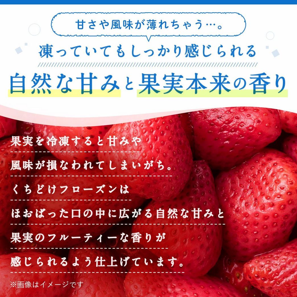 4562452231723_4.png