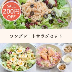 【SALE】ランチにピッタリ！ひとり用サラダセット