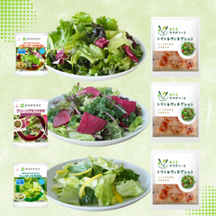 【SALE】【20％OFF】【3食分でお得】あえるサラダソース トマト＆ヴィネグレット80g×3袋＆パッケージサラダ3種【まとめ買いでお得】≪Qummy3周年≫