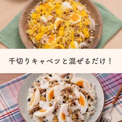 【2食でお得】シャキシャキ！キャベツ食べ比べサラダセット≪ベジドレッシング≫Qummy