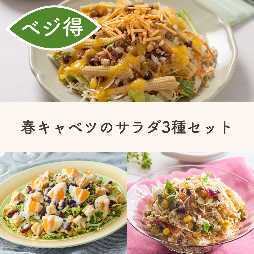 旬の春キャベツを楽しむサラダ3食セット