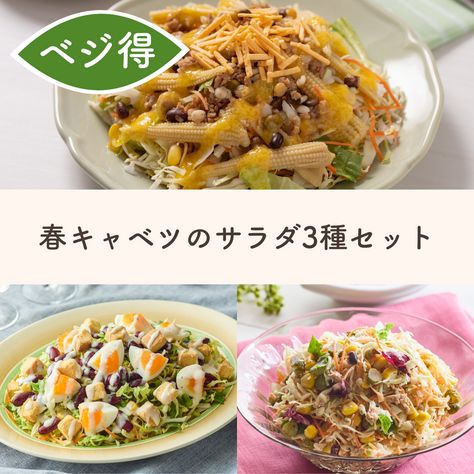 旬の春キャベツを楽しむサラダ3食セット