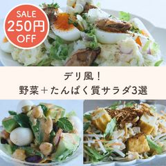 【SALE】デリ風！野菜＋たんぱく質サラダ