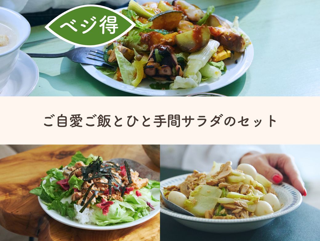 ご自愛ご飯とひと手間サラダのセット