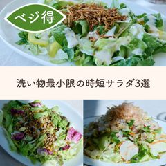 ワンパンおかずに合う！洗い物最小限で作れる時短サラダ
