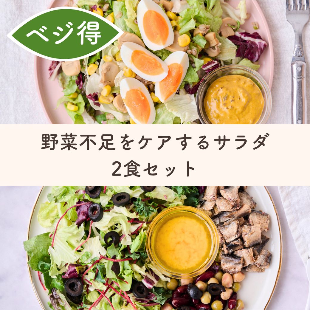 野菜不足をケアするサラダセット