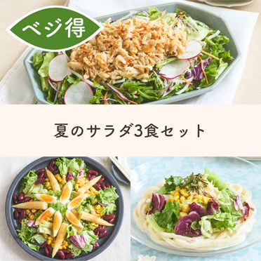 大満足！夏におすすめサラダうどん＆彩りサラダ