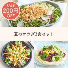 大満足！夏におすすめサラダうどん＆彩りサラダ