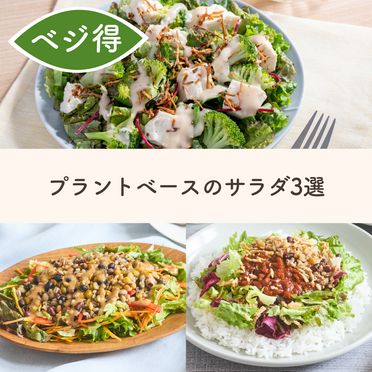 プラントベースで楽しむサラダセット