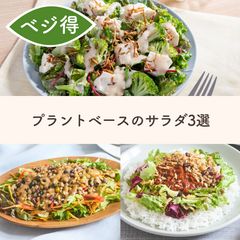 プラントベースで楽しむサラダセット