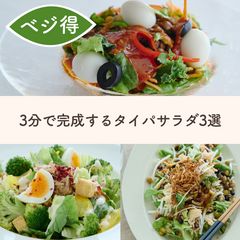 盛りつけるだけ！デリ風バランスサラダ