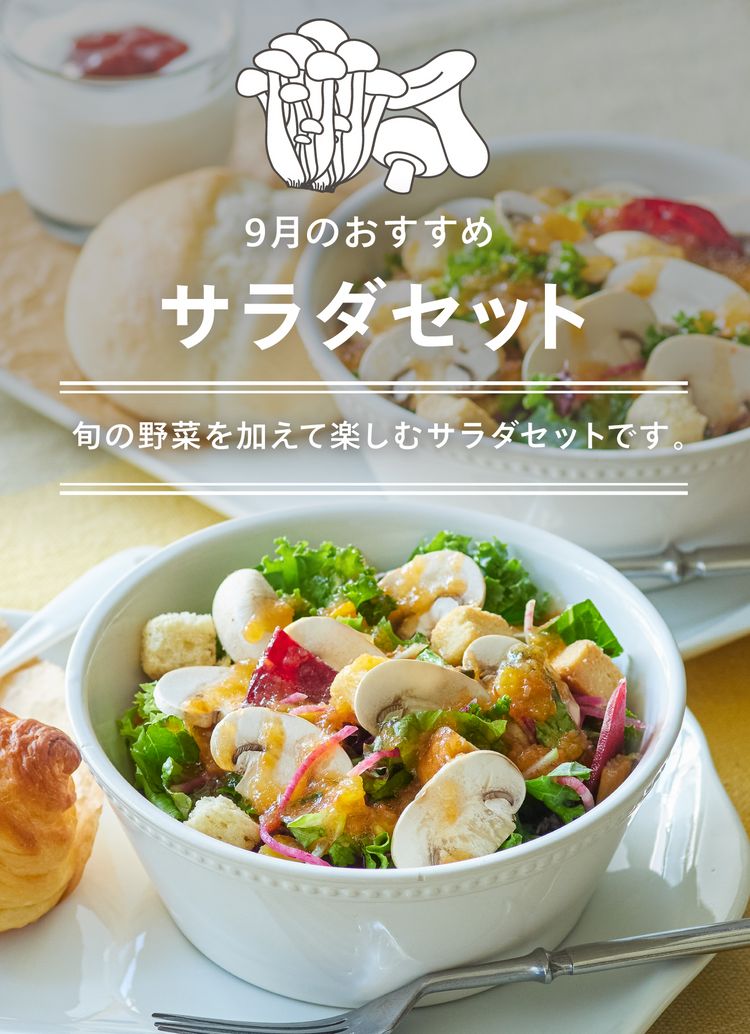 旬を楽しむサラダセット~きのこを加えて!~