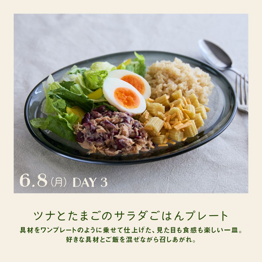 【25日発売】VEGE WEEK 忙しくても栄養をあきらめない！堀井美香さんの「時短ベジごはん」