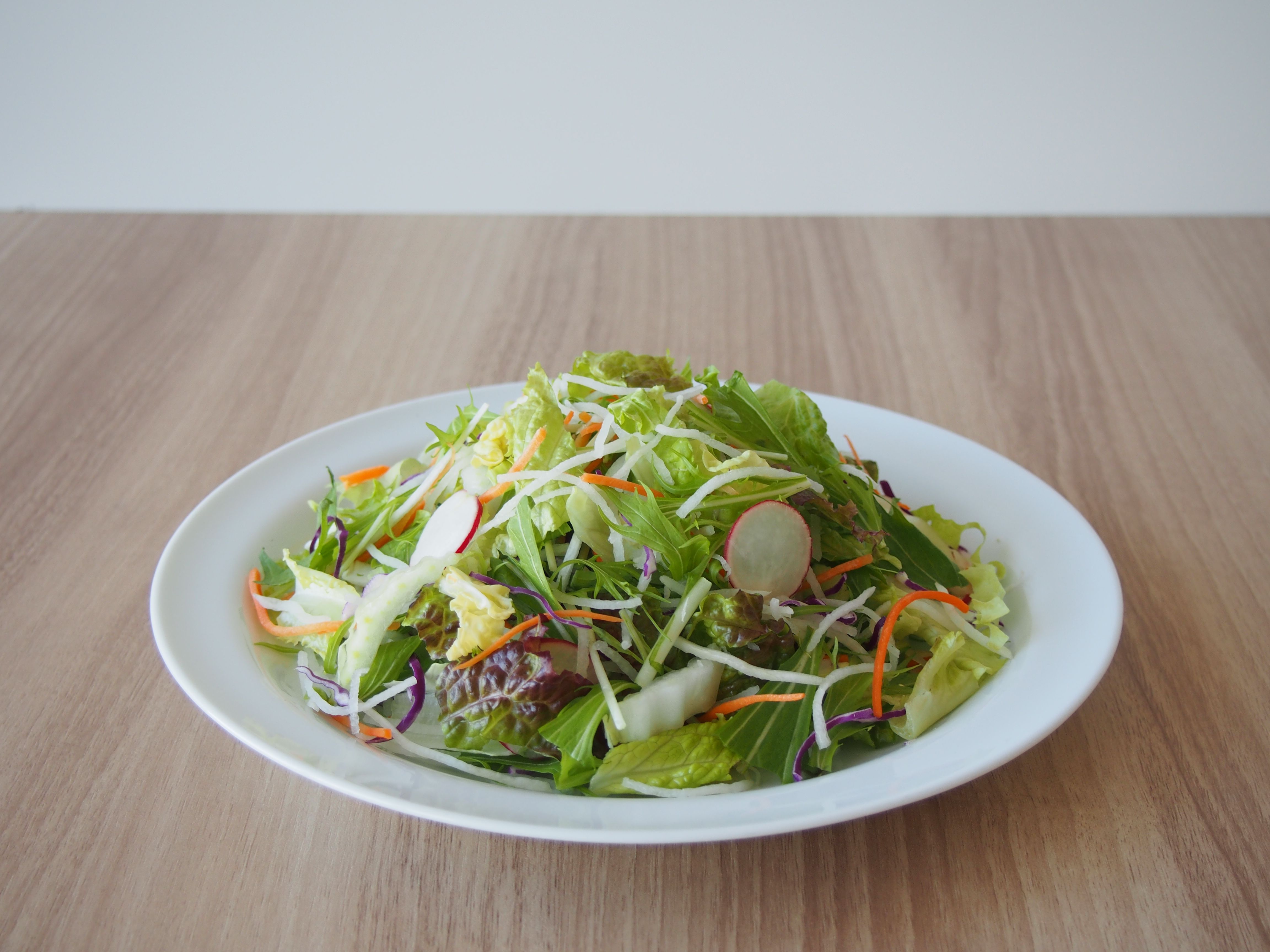 販売終了】10品目のサラダ 水菜や大根 170g(3～4人前)｜サラダ