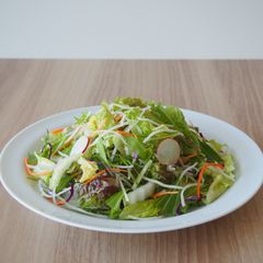 【販売終了】10品目のサラダ 水菜や大根 170g(3～4人前)｜サラダクラブ