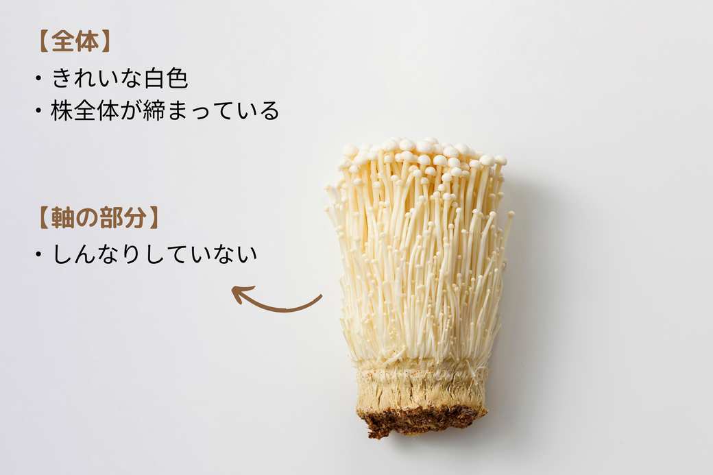 より簡単&便利に秋の味覚を楽しみたい! 食欲そそるきのこの活用術