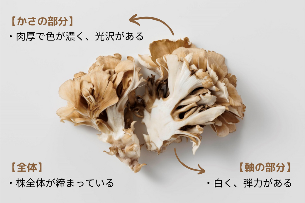 より簡単&便利に秋の味覚を楽しみたい! 食欲そそるきのこの活用術