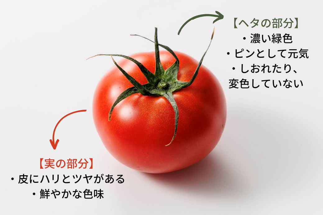 トマト解説画像②