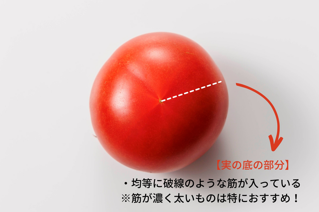 トマト解説画像①